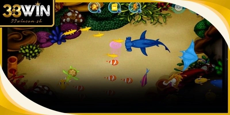 Ngư thủ lâu năm đang nghiên cứu quy luật xuất hiện của các đàn sinh vật